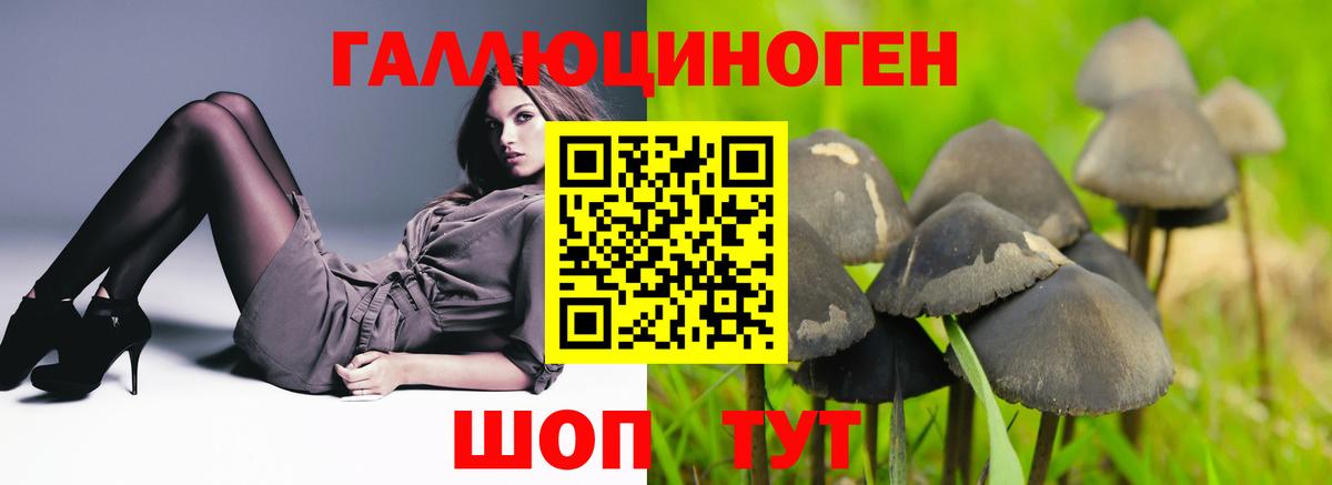Галлюциногенные грибы мицелий  Вход с VPN  Киреевск  Галлюциногенные грибы Magic Shrooms 